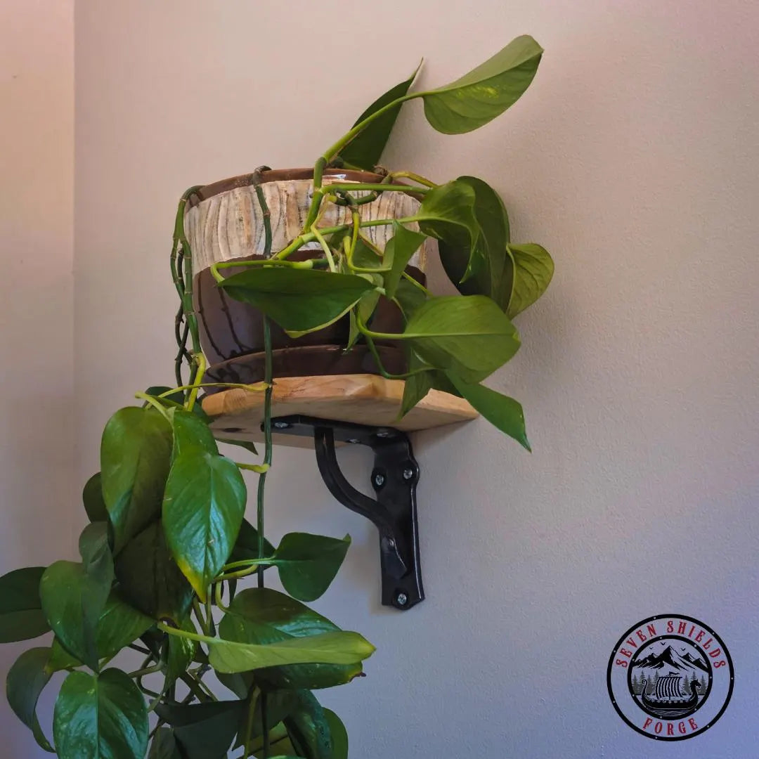 Forged Plant Shelf